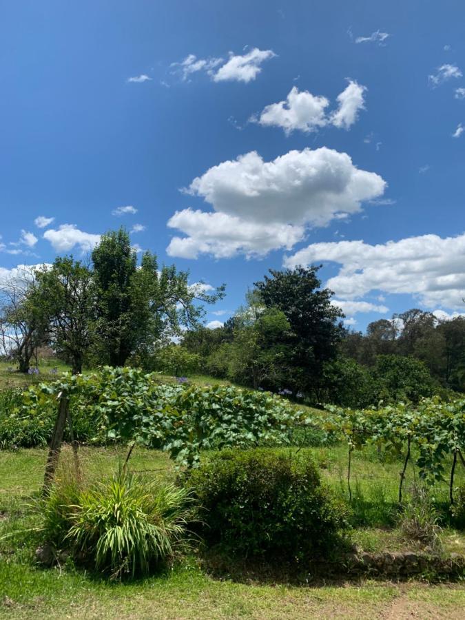Sitio Vale Dos Vinhedos Villa Bento Gonçalves Екстериор снимка